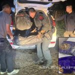 泰国资讯:来自金三角的500公斤冰毒在清盛被查获-白嫖攻略-白菜社区-白菜论坛