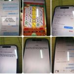 黑平台 昌盛国际-白嫖攻略-白菜社区-白菜论坛