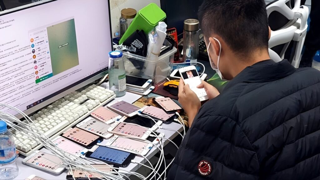 昔日境外电诈人员回国组团洗钱被抓-白嫖攻略-白菜社区-白菜论坛
